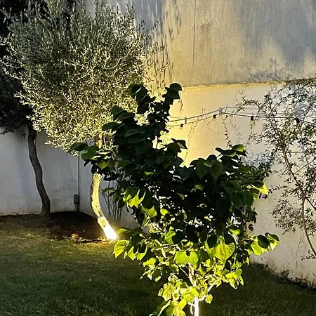 Au Centre De Holiday home *