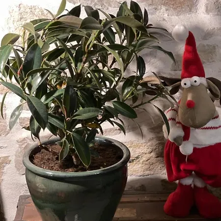 Au Centre De Holiday home Nimes