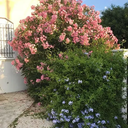 Au Centre De Holiday home